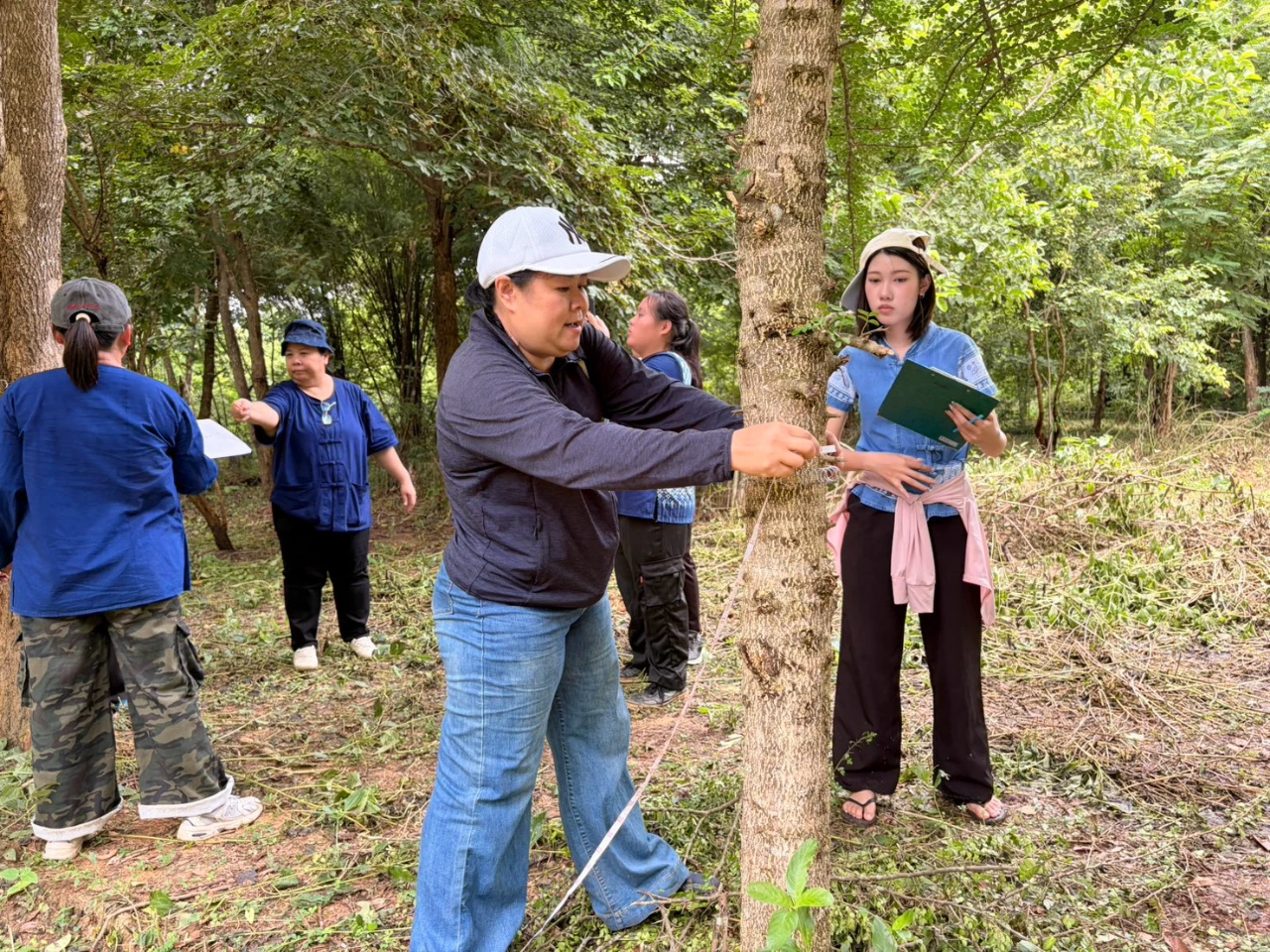 catalogs_file_431_26_39_718969.webp